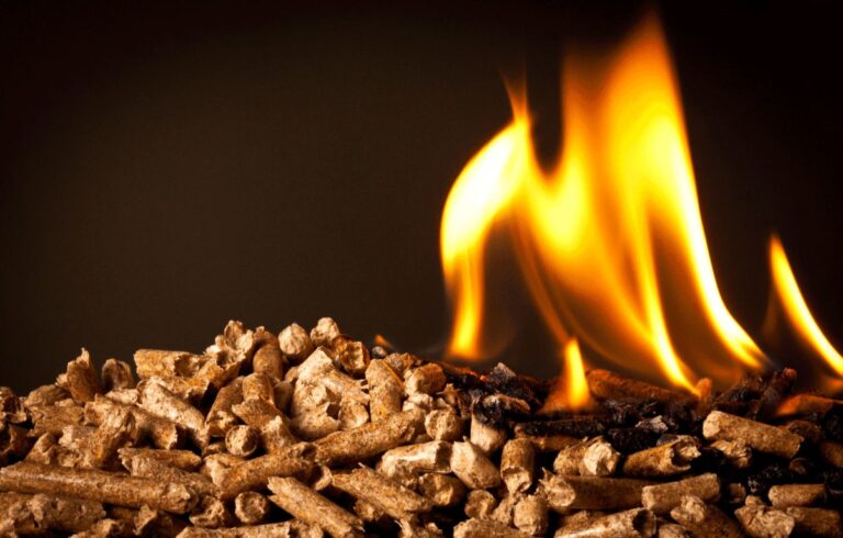 How Biomass Pelletizing Supports Renewable Energy Goals