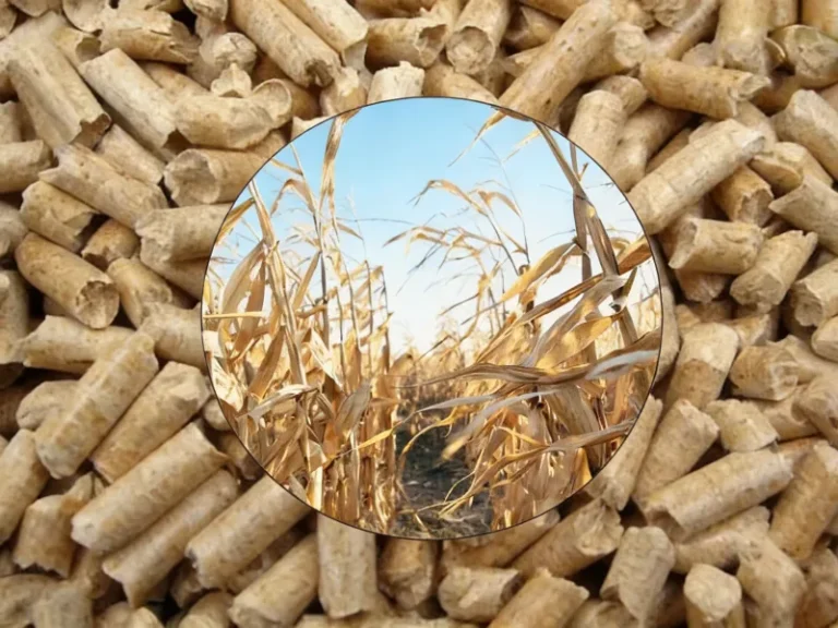 Corn Stalk Pellet Machine for Large-Scale Biomass Utilization