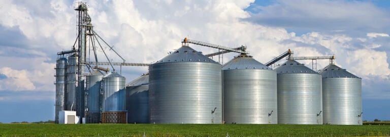 Ethiopia Poultry Farming Growth and the Increasing Need for Professional Feed Production