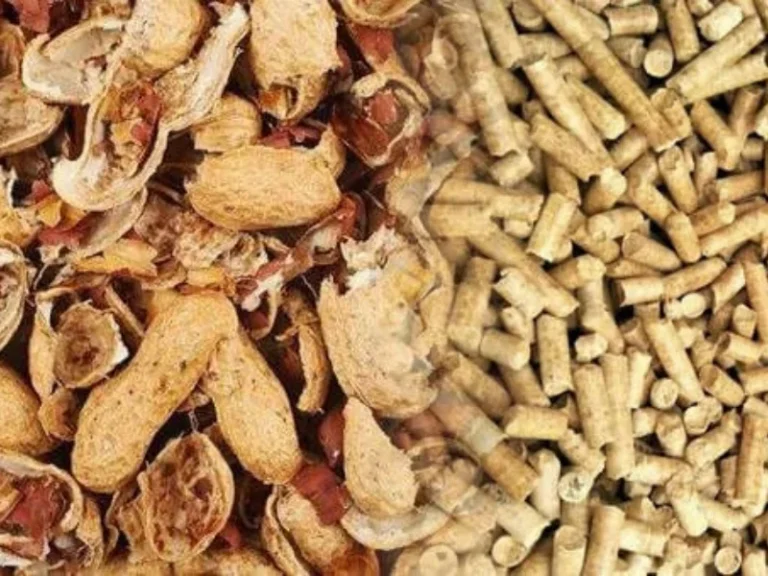 How Modern Pellet Technology Unlocks Biomass Energy Potential From Agricultural Waste
